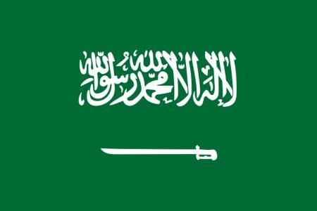 المملكة ترحّب ببيان الشركاء الدوليين بإنهاء الحرب على قطاع غزة