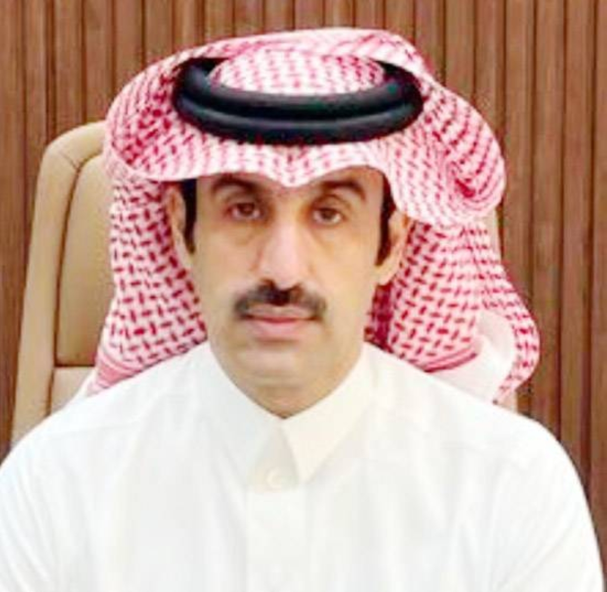 من رماد الغابات.. تولد المبادرات
