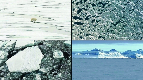 World's sea ice cover hits record low in Feb