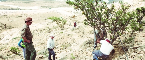 Scientific Advisory Council to help preserve Wadi Dawkah