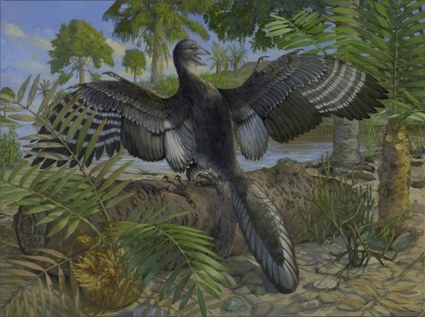 This Dinosaur Had Feathers and Probably Flew Like a Chicken