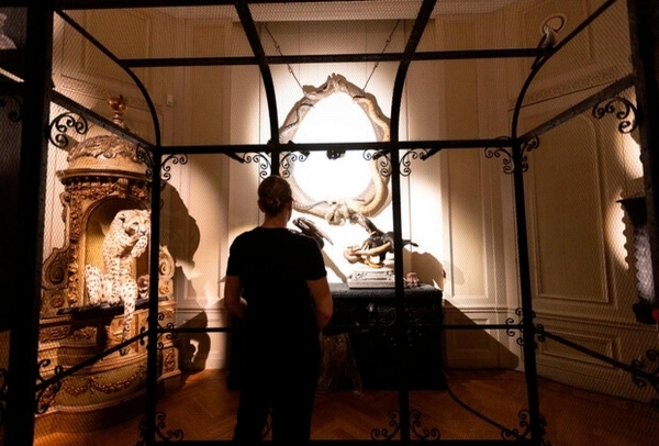 Stuff of dreams: Amsterdam's 'Art Zoo' mixes art and taxidermy