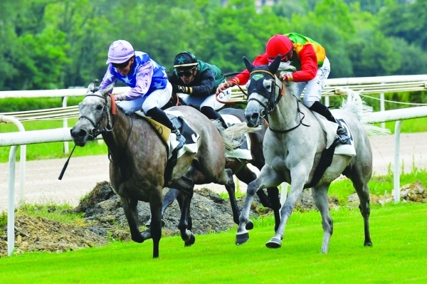 ‘Al Marjanah' shines in Toulouse with runner-up finish