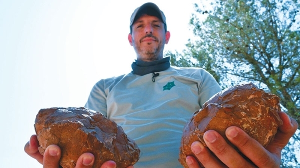 Eggs en Provence: France's unique dinosaur egg trove