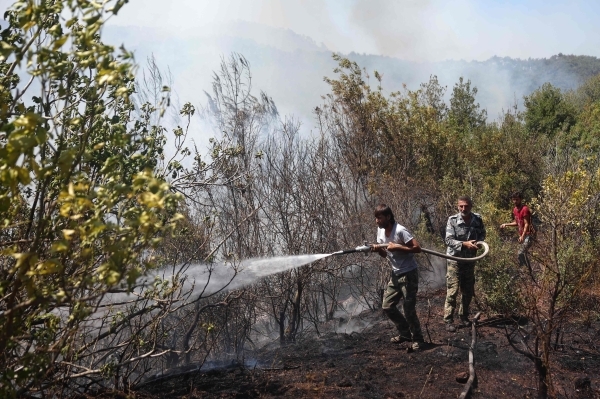 Syria seeks European help as forest wildfires rage