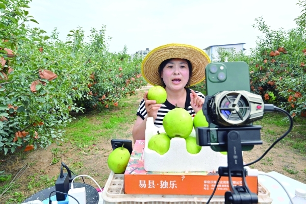 FARM TO PHONE