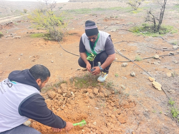 4 Million tree seeds scattered in Dhofar