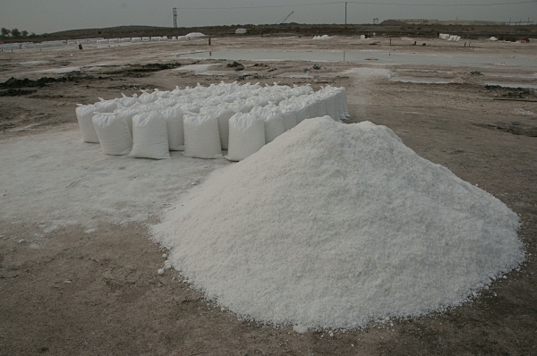 Salt harvest spotlights traditional techniques