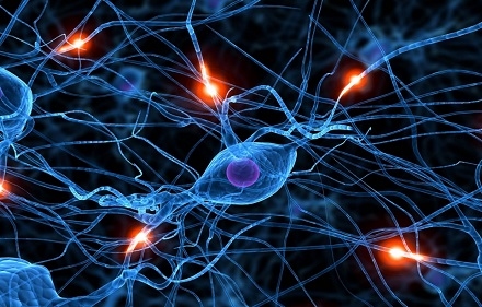 Parkinson's Study Revives Hopes of Neuronal Recovery