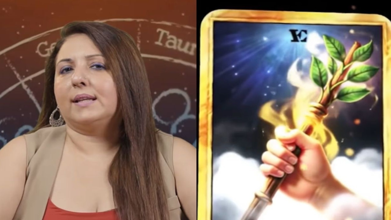 Weekly Numerology Predictions: Share your birth date with Virat Kohli? Know what's in store for your career this week
