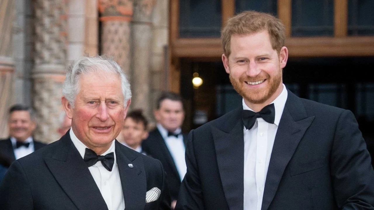 Prince Harry and King Charles Take First Step Toward Royal Reunion, All We Know About Senior Aides' Meeting