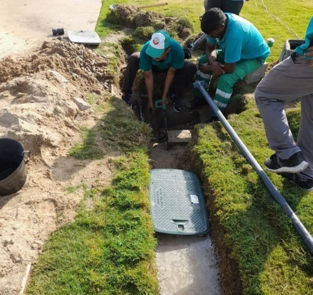 Doha Desertification Combat Project first phase a grand success, says MoM
