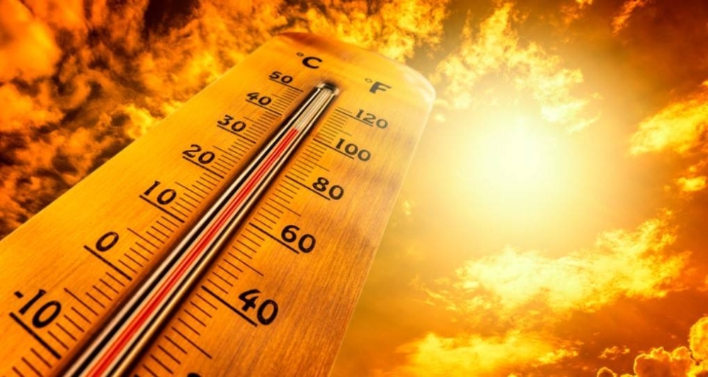 European heatwave caused 2,300 deaths in 10 days: Study