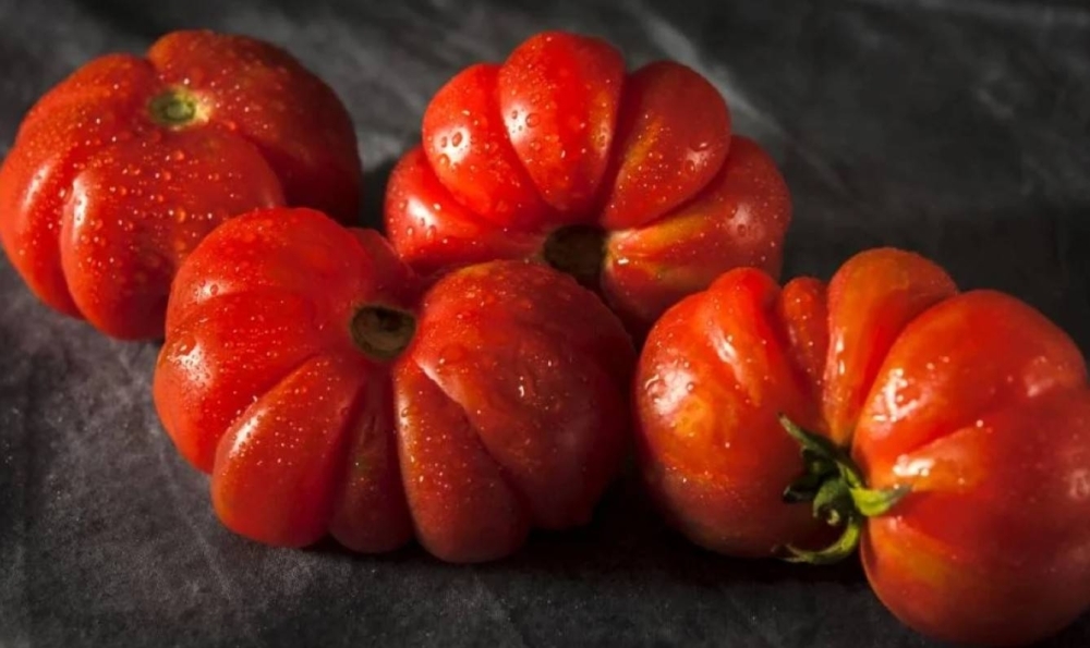 US slaps 17% duty on most Mexican fresh tomatoes