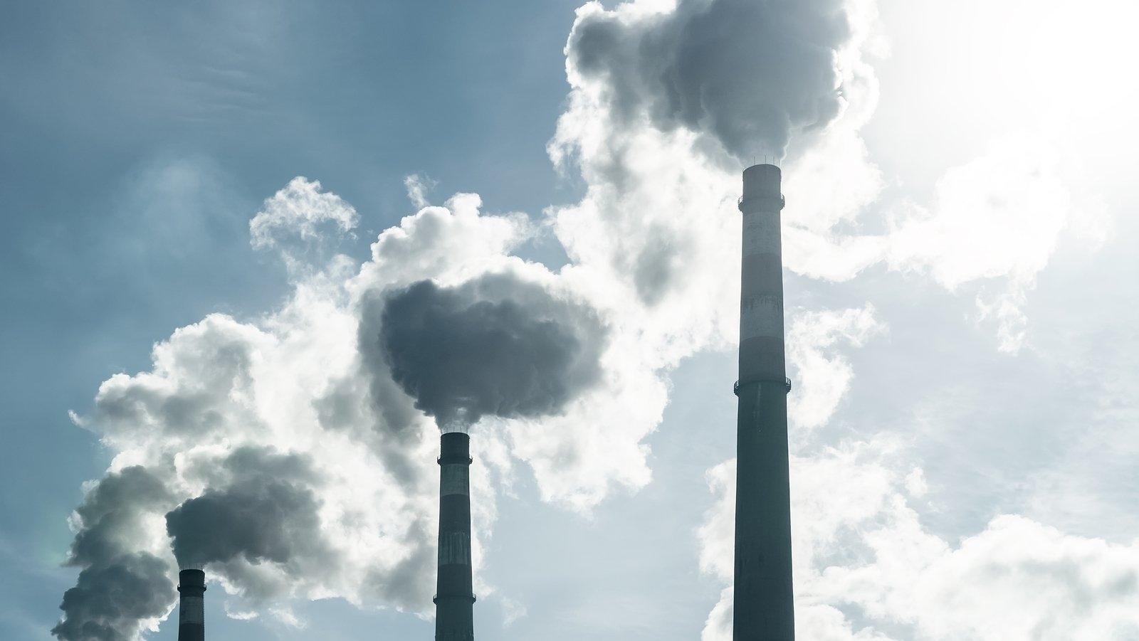 EU plans to buy carbon credits to meet climate targets