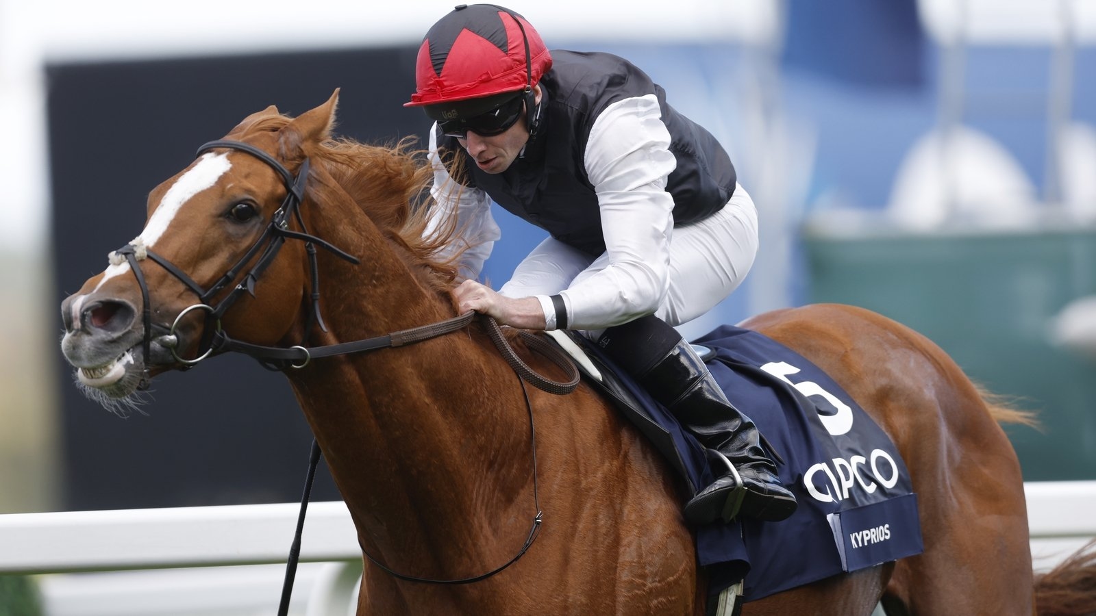 Aidan O'Brien concerned despite Kyprios' win at Leopardstown