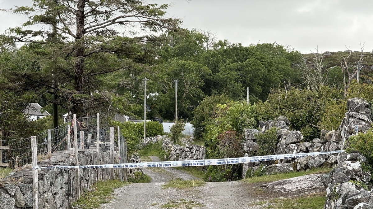 Man in 30's and woman in 70's dead after fire at Co Galway home