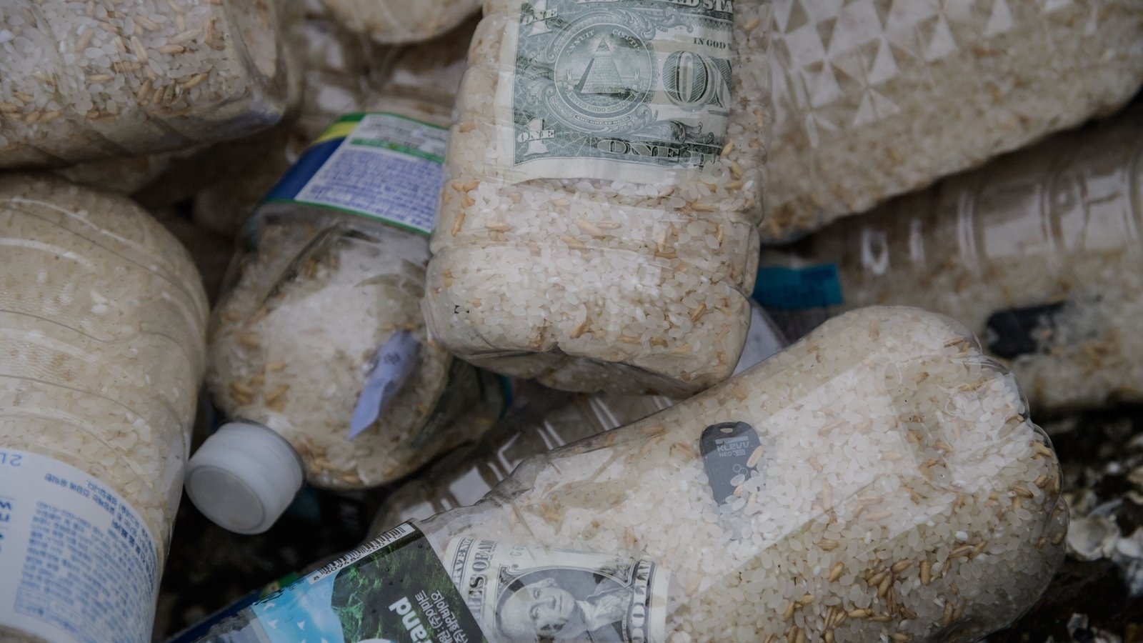 Six US citizens arrested trying to send cash, rice to North Korea
