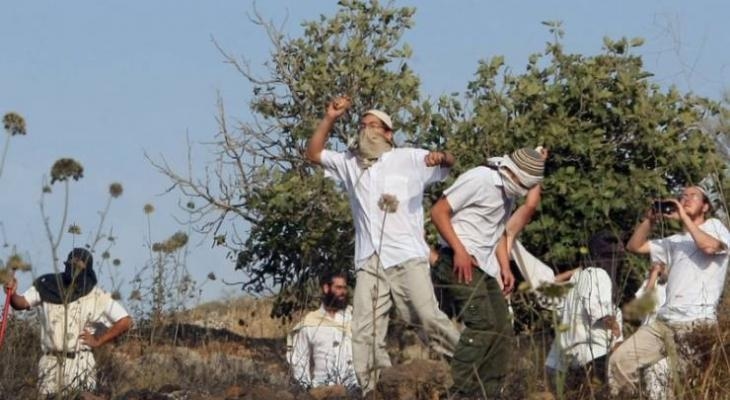 France condemns settler attacks, calls for "Firm Measures" against perpetrators