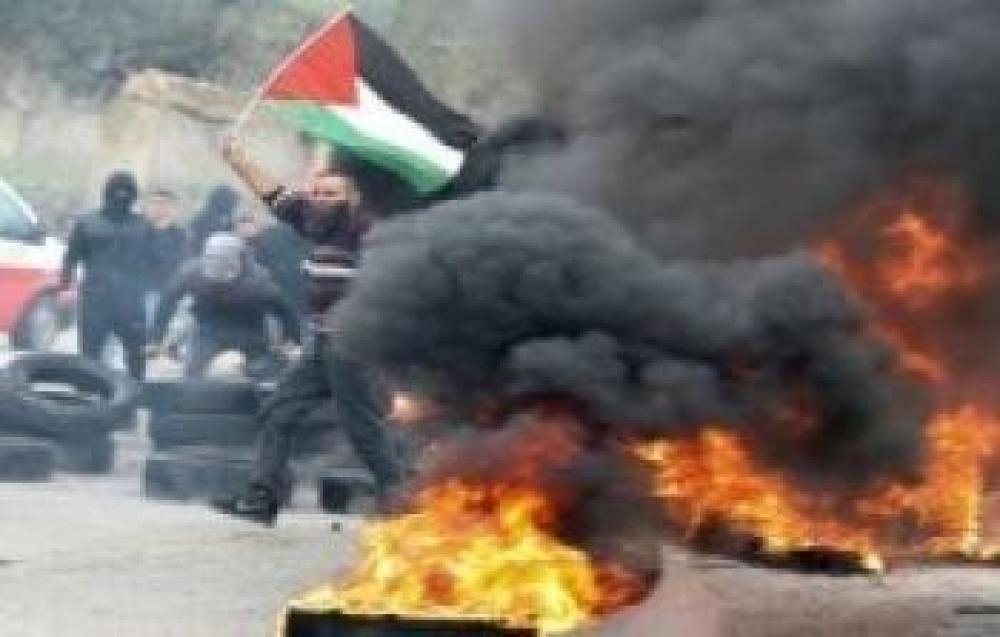 14 Acts of Palestinian Resistance recorded in West Bank over past 48 hours
