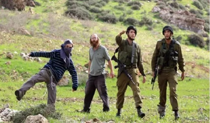 Settlers Renew Attacks on Palestinians