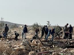 Settlers erect fence around lands in Masafer Yatta