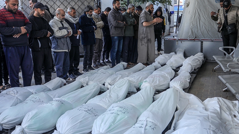 'Gaza Government Media Office: Number of Aid Victims Rises to 580 Martyrs and 4,216 Injured'