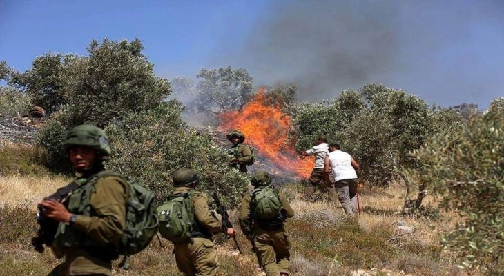 Zionist Settlers Burn Hundreds of Trees South of Nablus