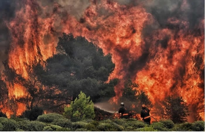 Madre Fire Becomes California's Largest Wildfire of Year