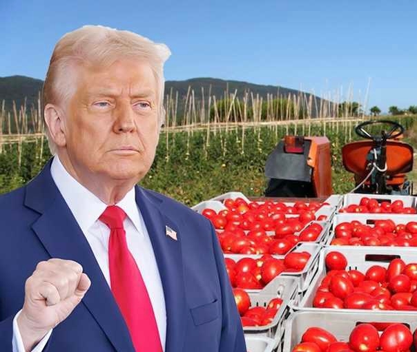 ترامب يفرض رسوماً على واردات البندورة المكسيكية وينهي اتفاقية التصدير بين البلدين