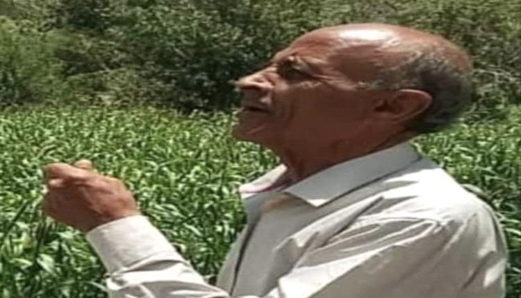حين يغيب الكبّار تظل ظلالهم حاضرة