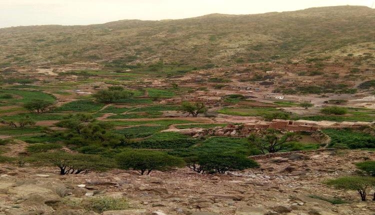 "طريق العقلة – حيد ردفان... طريق مختصر وأجر ممتد"
