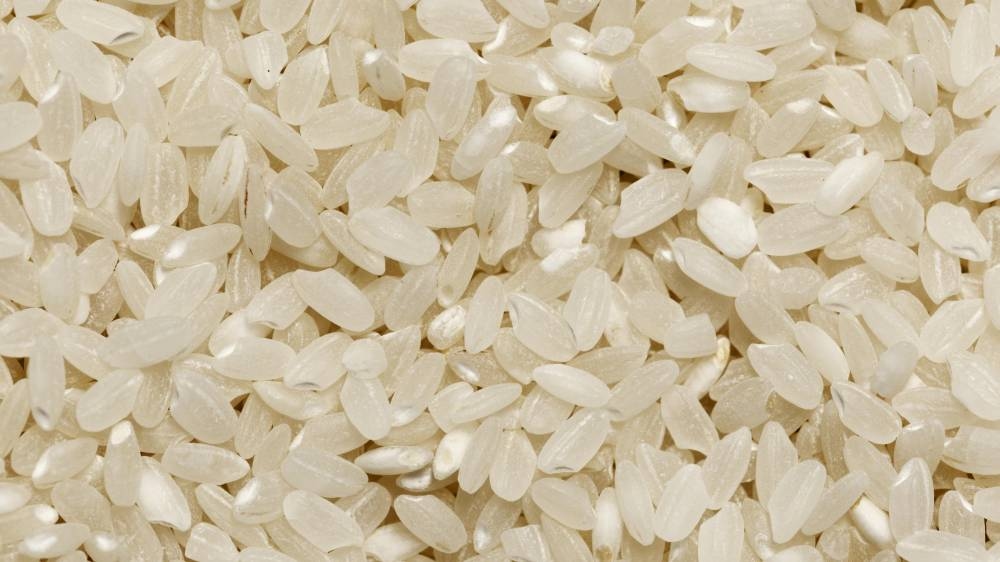 The future in a grain: Malaysia's bet on gene-edited rice