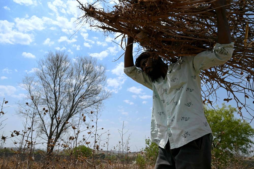 Climate change heightens risk of Indian farmer suicides