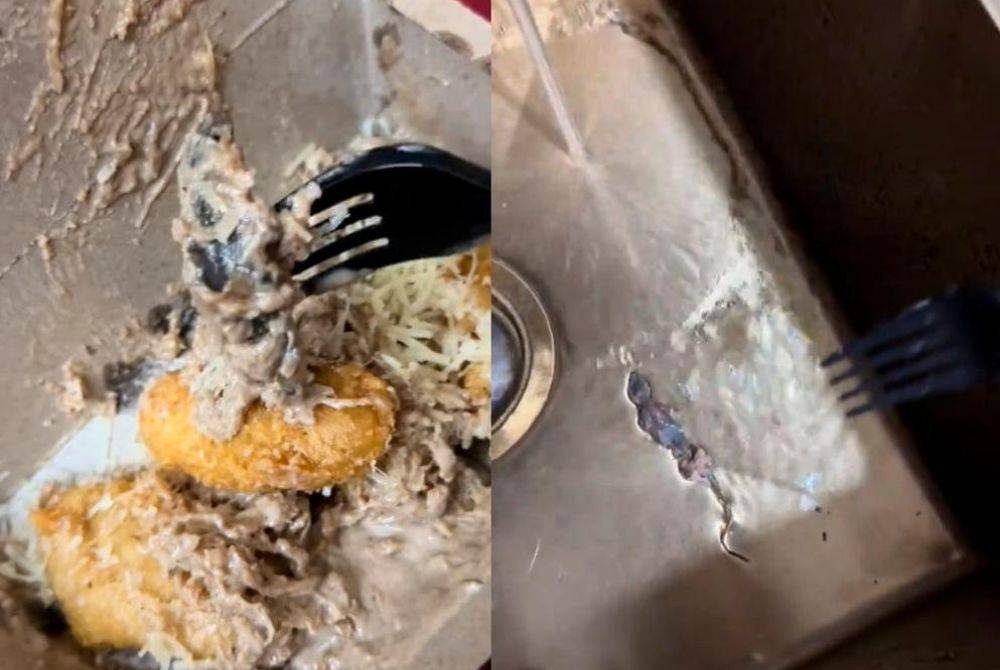 What's hiding in your banana fritters? Penang woman finds fried lizard