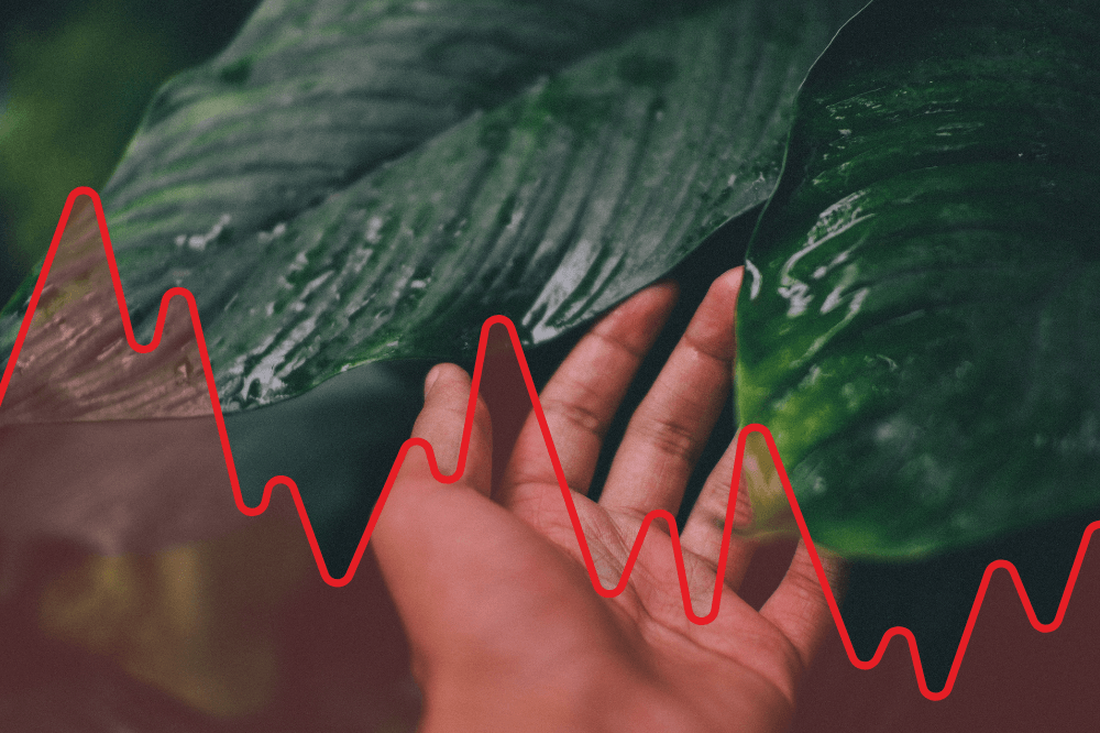Green sukuk and Malaysia's climate leadership: An Islamic finance response to decarbonisation