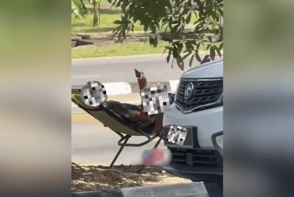 Man arrested after viral video shows indecent act in public in Kluang