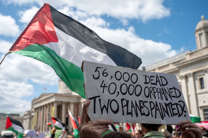 How dare Sally Rooney ‘admire' Palestine Action
