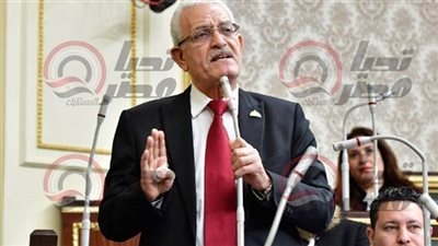 المغاوري لـ 'تحيا مصر': الاصطفاف الوطني وتمثيل أكبر قدر من التيارات السياسية أهم من توفير مناخ سياسي ملائم