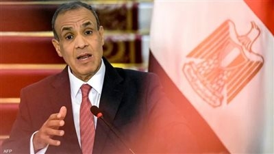 وزير الخارجية: يجب تكثيف الجهود الدولية للتوصل لوقف إطلاق النار في غزة