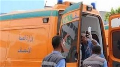 الداخلية تكشف ملابسات إصابة خفيرين بالخرطوش في القطامية بسبب خلافات على أعمال التأمين