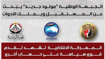 مصادر سياسية تكشف لـ تحيا مصر: حزب حماة الوطن فرس رهان انتخابات 2026