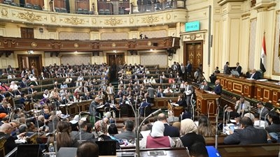تحيا مصر ينشر نص تعديلات قانون الرياضة