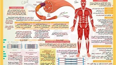 16 ورقة مش هيخرج عنهم الامتحان.. أقوى مراجعة نهائية فى الأحياء للثانوية العامة 2025