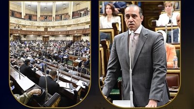تواصل نيابي وتشريعي مكثف..وزارة الشئون النيابية تستعرض حصاد أسبوع من الحضور البرلماني للوزير محمود فوزي