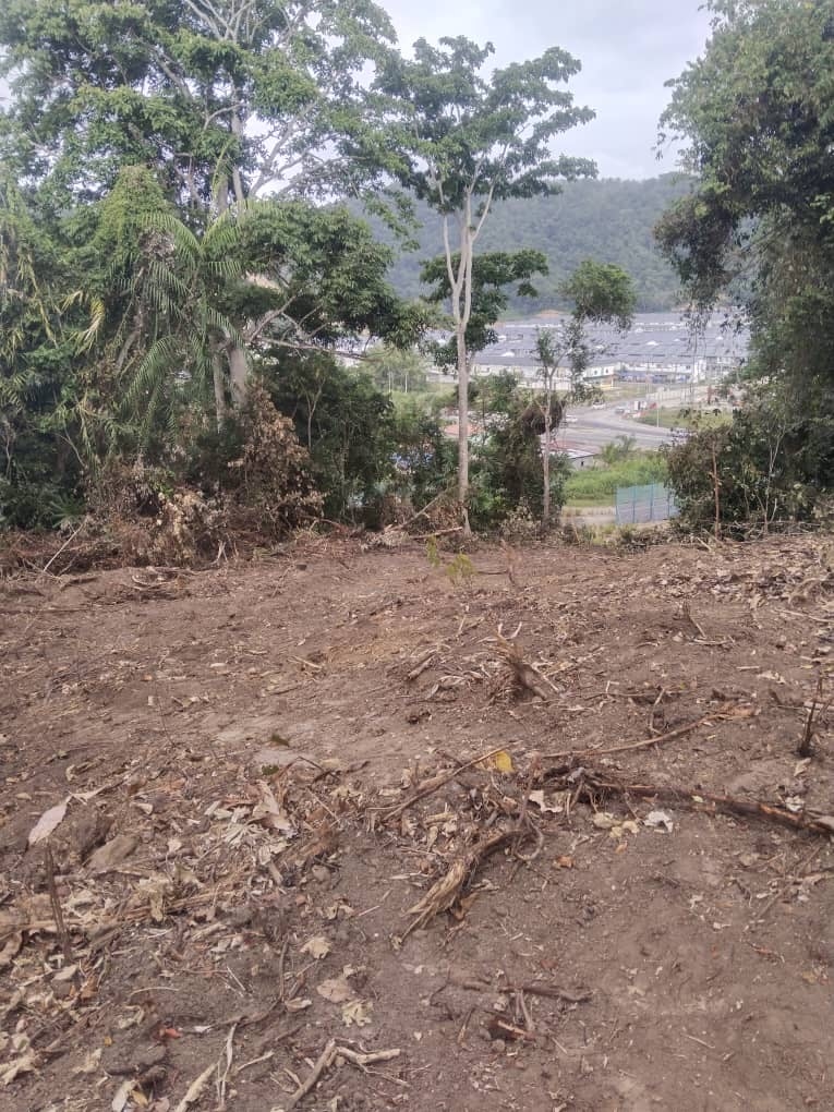Call to protect customary land and herbal heritage at Tuaran village