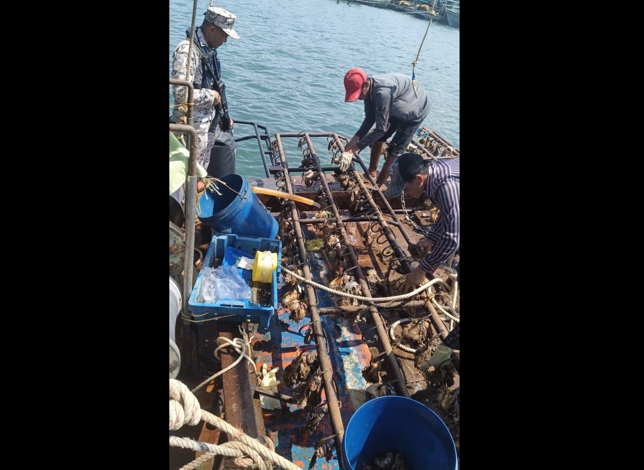 Vietnamese boat held after attempting to ram MMEA patrol vessel in Kudat waters