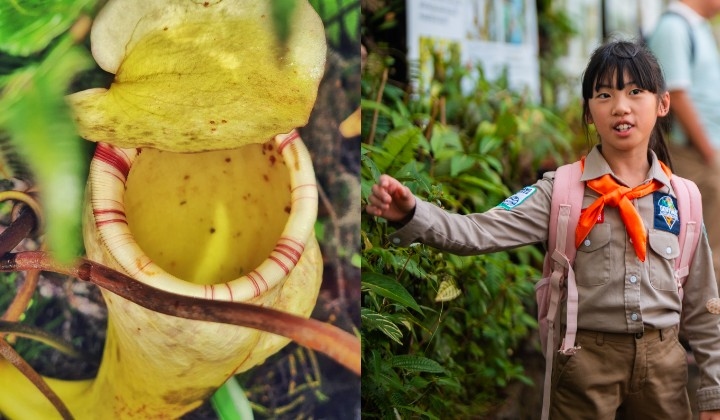 [Photos] How Genting Highlands' Nature Trails Are Becoming Malaysia's Hottest Eco-Destination