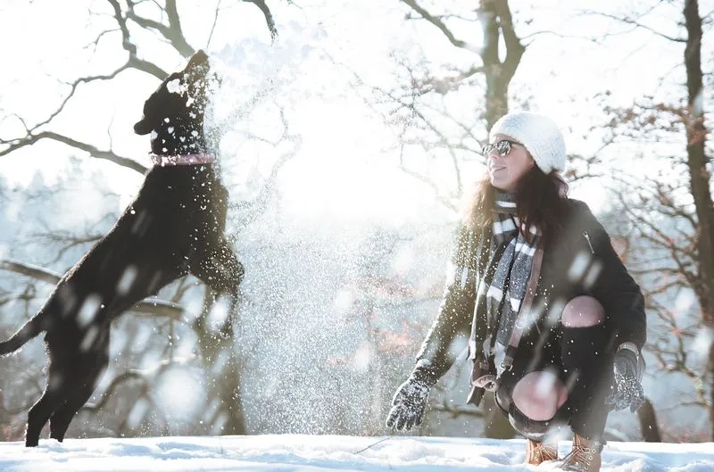 WEATHER: Cold front to bring snowfall, heavy rain, and strong winds in parts of SA