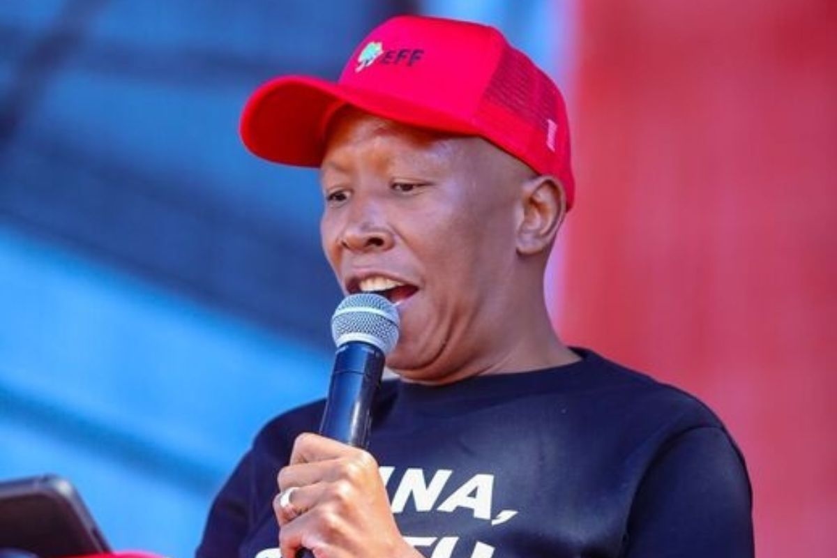 Malema urges DA to respect Ramaphosa and government protocol
